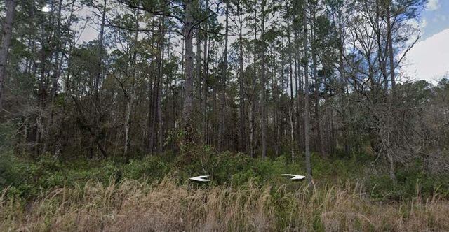 10275 Hennessey Avenue, Hastings, FL 32145