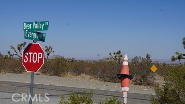 0 Duncan Road, Pinon Hills, CA 92372