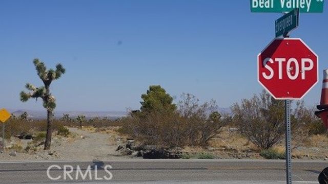 0 Duncan Road, Pinon Hills, CA 92372