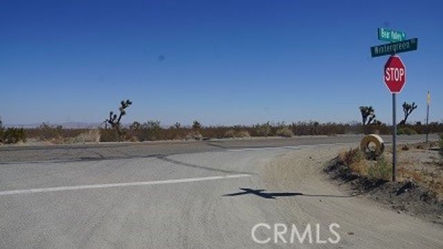 0 Duncan Road, Pinon Hills, CA 92372