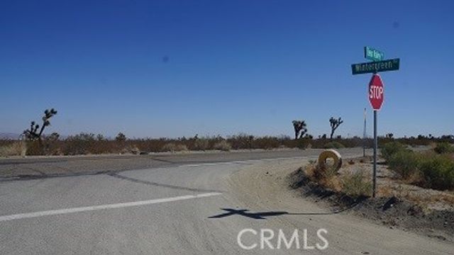 0 Duncan Road, Pinon Hills, CA 92372