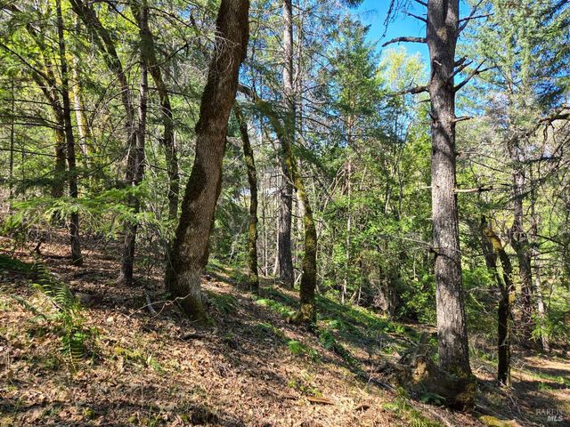 28201 Sherwood Rd, Willits, CA 95490