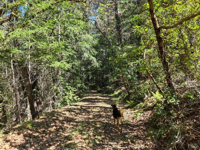 28201 Sherwood Rd, Willits, CA 95490