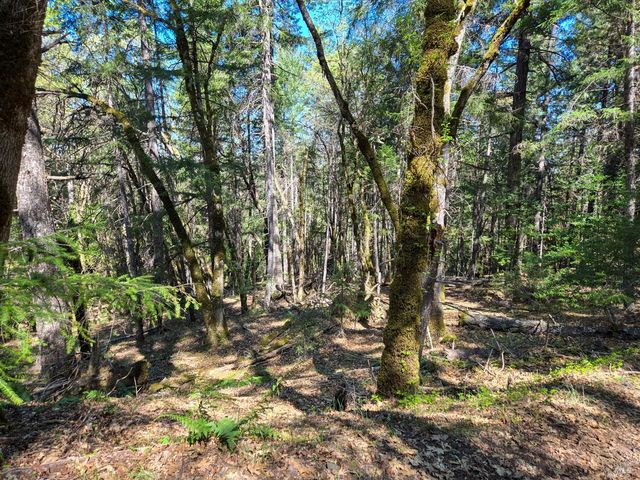 28201 Sherwood Rd, Willits, CA 95490