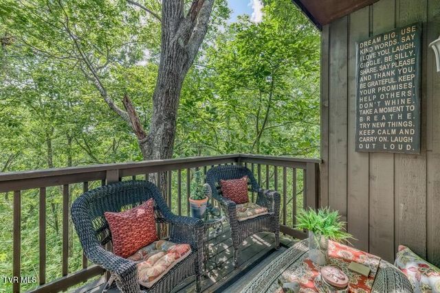 331 Hickory Bluff 331, Johnson City, TN 37601