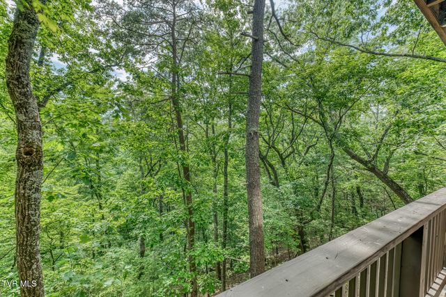 331 Hickory Bluff 331, Johnson City, TN 37601