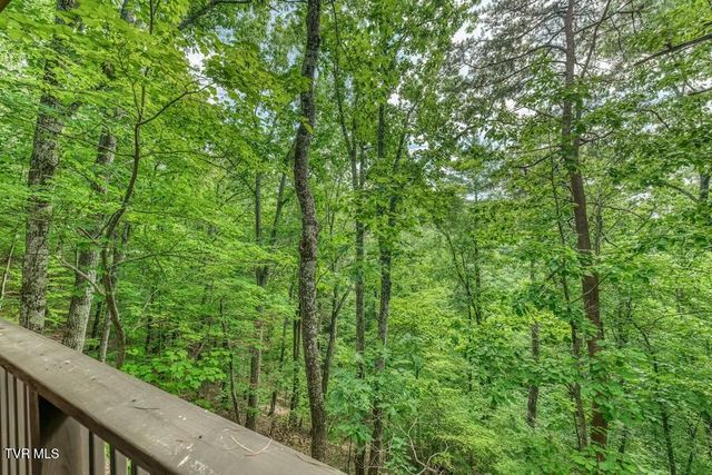 331 Hickory Bluff 331, Johnson City, TN 37601