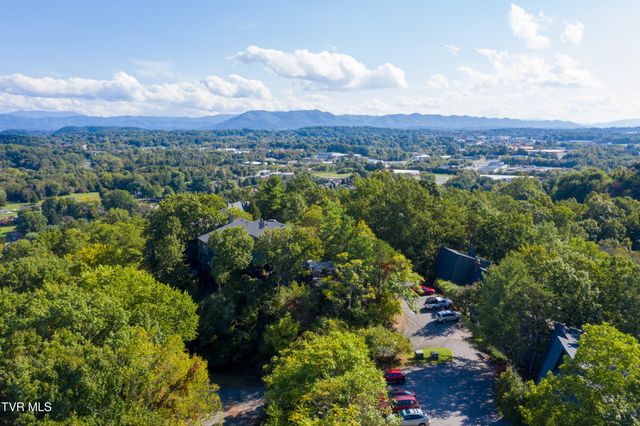 331 Hickory Bluff 331, Johnson City, TN 37601