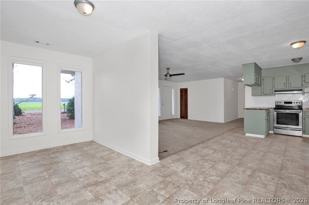 997 Balfour Road, Red Springs, NC 28377 — photo 5