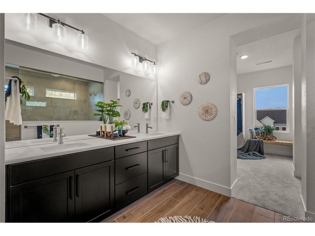 17137 Alsike Clover Ct, Monument, CO 80132