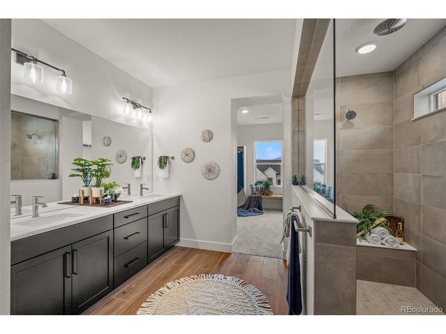 17137 Alsike Clover Ct, Monument, CO 80132