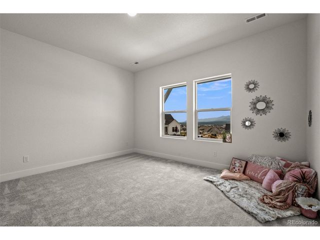 17137 Alsike Clover Ct, Monument, CO 80132