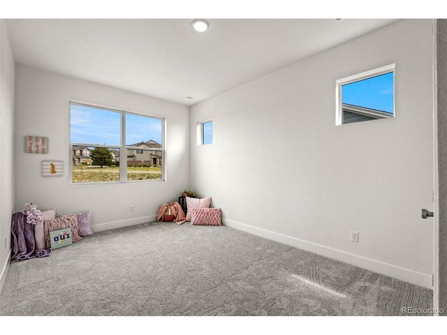 17137 Alsike Clover Ct, Monument, CO 80132