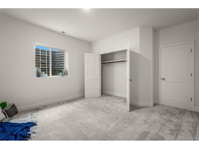 17137 Alsike Clover Ct, Monument, CO 80132