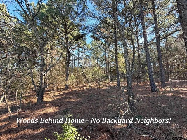 12260 Wild Horse, Tyler, TX 75706