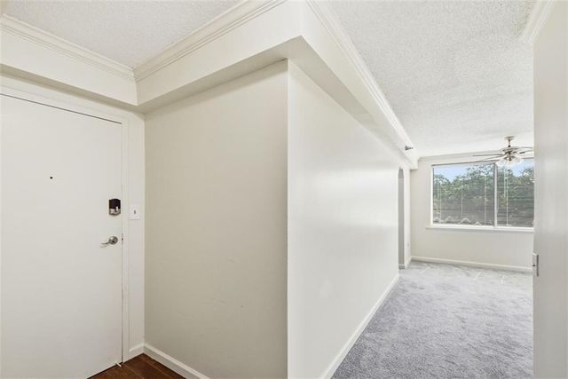 2479 Peachtree Road NE 317, Atlanta, GA 30305