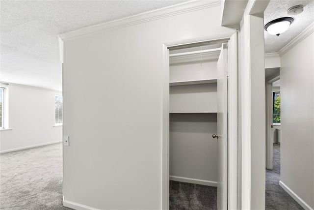 2479 Peachtree Road NE 317, Atlanta, GA 30305