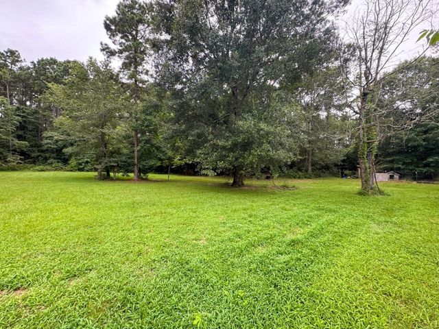 11210 Amber Park Drive, Conroe, TX 77303