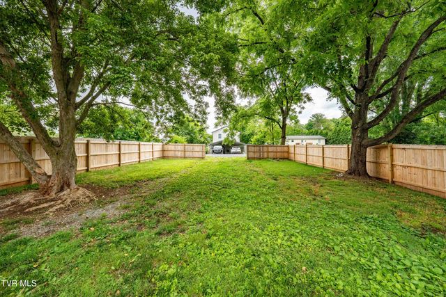 905 Grover Street, Johnson City, TN 37601