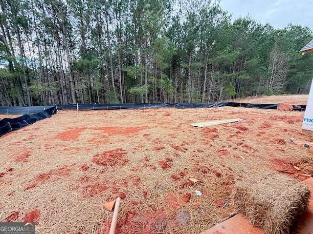 1111 Silverton Drive, Greensboro, GA 30642