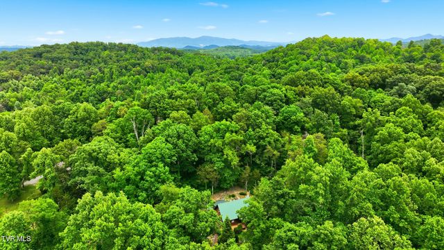 186 Raspberry Ridge Road, Johnson City, TN 37601