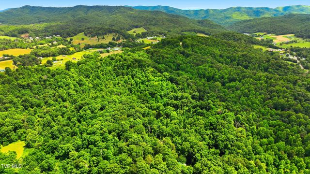 186 Raspberry Ridge Road, Johnson City, TN 37601