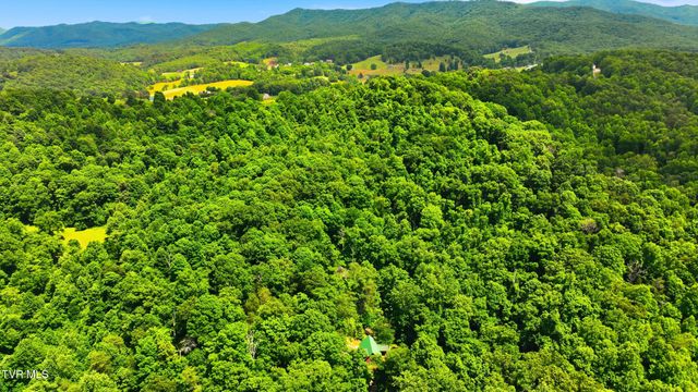 186 Raspberry Ridge Road, Johnson City, TN 37601