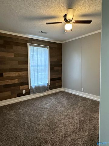 205 Lincoln Avenue NE, Fort Payne, AL 35967