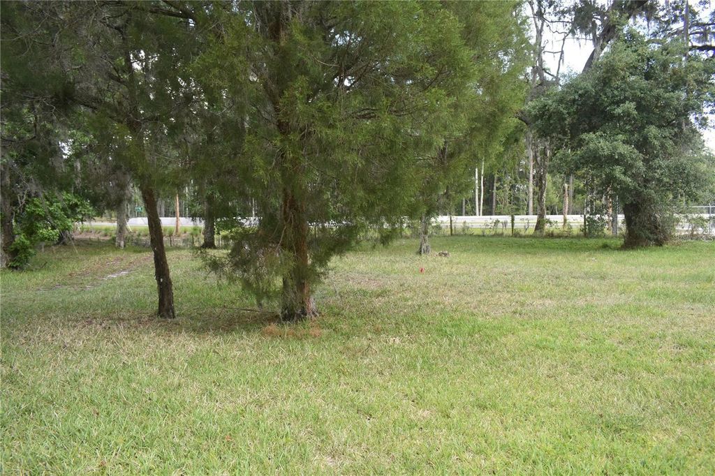 Lot 58 Blk C LEXINGTON CIRCLE, Wildwood, FL 34785