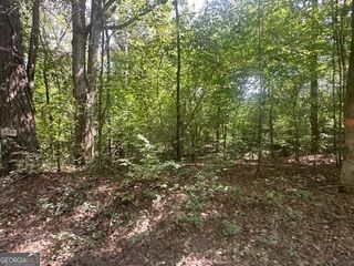 0 Millen Road TRACT #22, Monticello, GA 31064