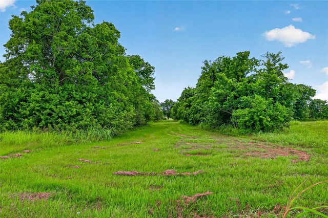 16403 Deerhaven Run, Rosharon, TX 77583