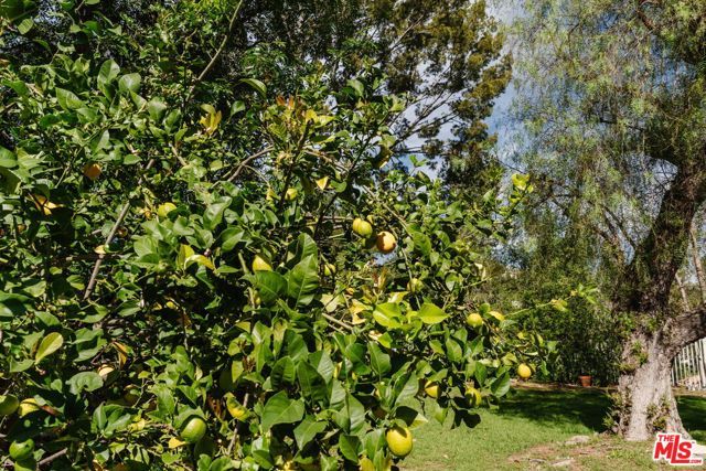 24901 Jim Bridger Road, Hidden Hills, CA 91302