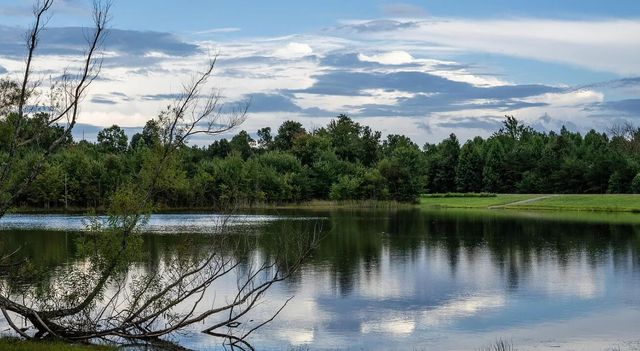 2958 Bluff View Drive, W, Dunlap, TN 37327