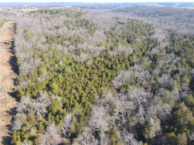 521 Cr-2281, Eureka Springs, AR 72631