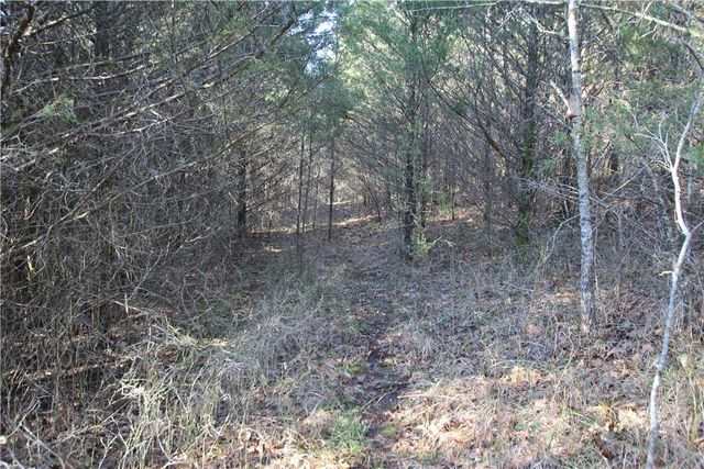 521 Cr-2281, Eureka Springs, AR 72631