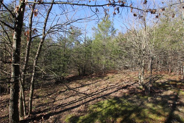 521 Cr-2281, Eureka Springs, AR 72631
