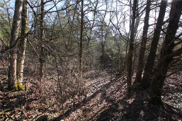 521 Cr-2281, Eureka Springs, AR 72631