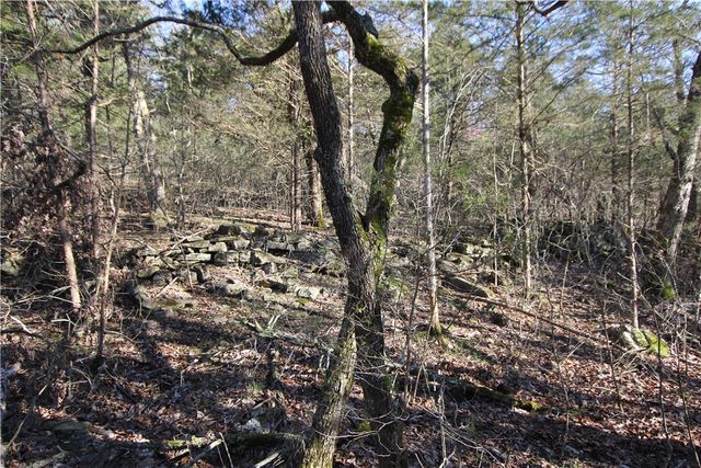 521 Cr-2281, Eureka Springs, AR 72631