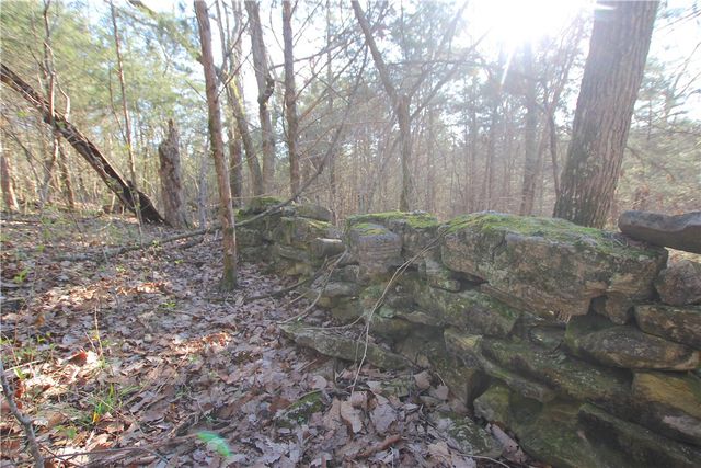 521 Cr-2281, Eureka Springs, AR 72631