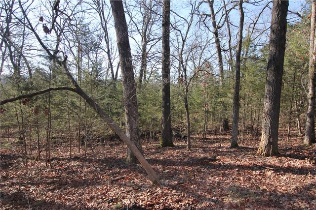 521 Cr-2281, Eureka Springs, AR 72631