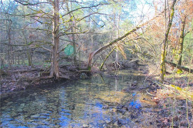 521 Cr-2281, Eureka Springs, AR 72631