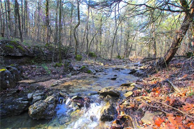 521 Cr-2281, Eureka Springs, AR 72631