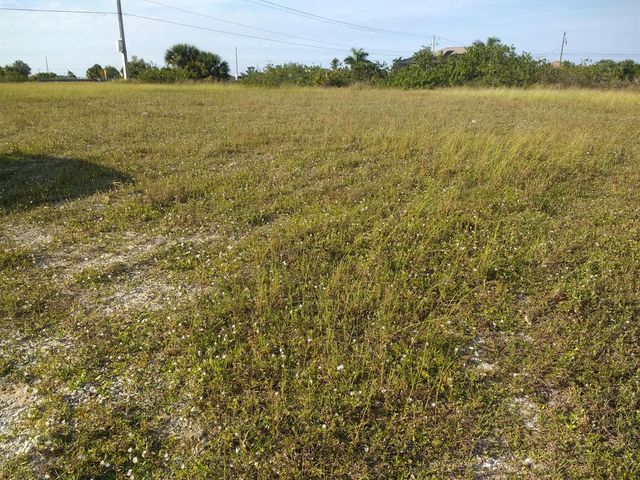 725 NW 8th Terrace, Cape Coral, FL 33993