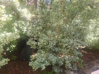 2926 Alwood Court, Spring Valley, CA 91978