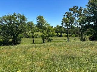Tbd Highway 160, Theodosia, MO 65761