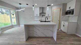 16606 Sinaloa Drive, Houston, TX 77083