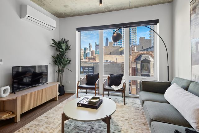 411 W Chicago Avenue C806, Chicago, IL 60654