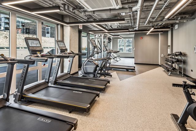 411 W Chicago Avenue C806, Chicago, IL 60654