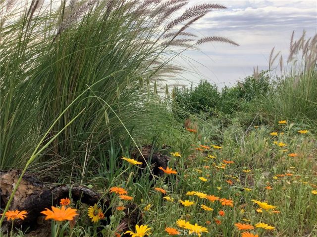 0 Coal Canyon Rd, Malibu, CA 90265
