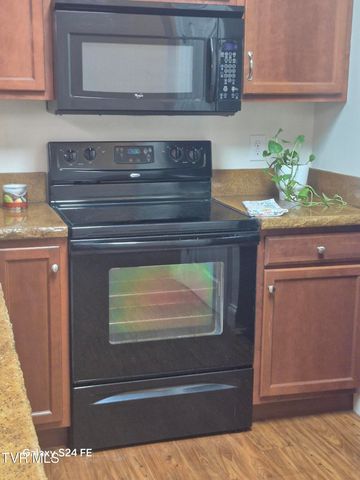 116 Tipton Street 209, Johnson City, TN 37604